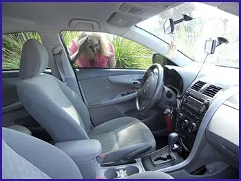 Olneyville RI Locksmith Store Olneyville, RI 401-239-2750